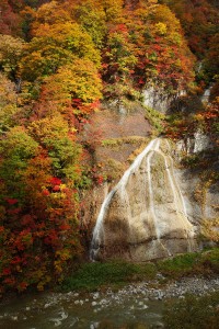 白山スーパー林道・赤石滝