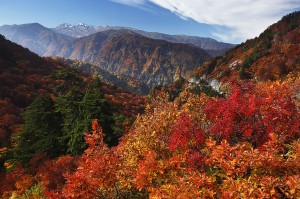 白山スーパー林道からの眺め