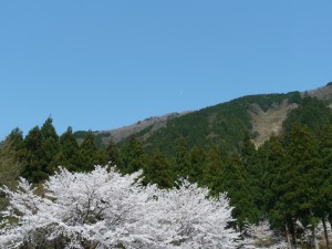 P1020458